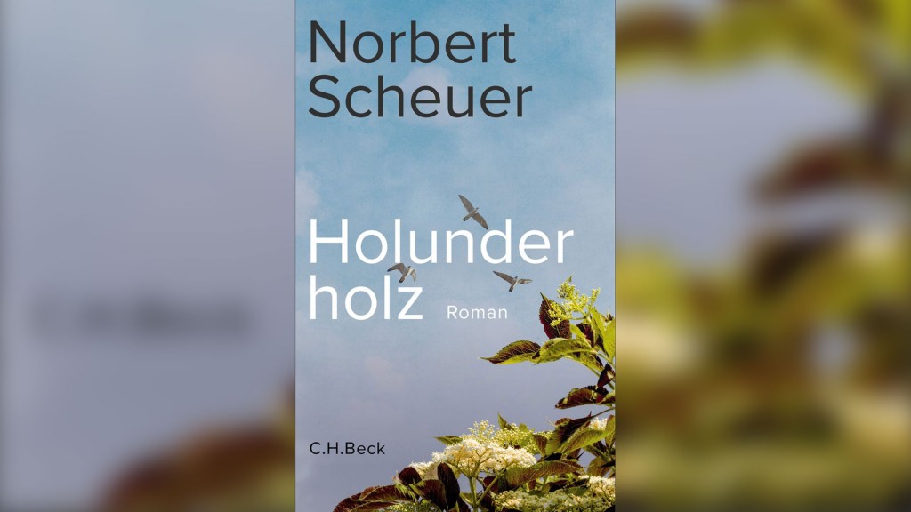 Buch-Cover: Norbert Scheuer - 