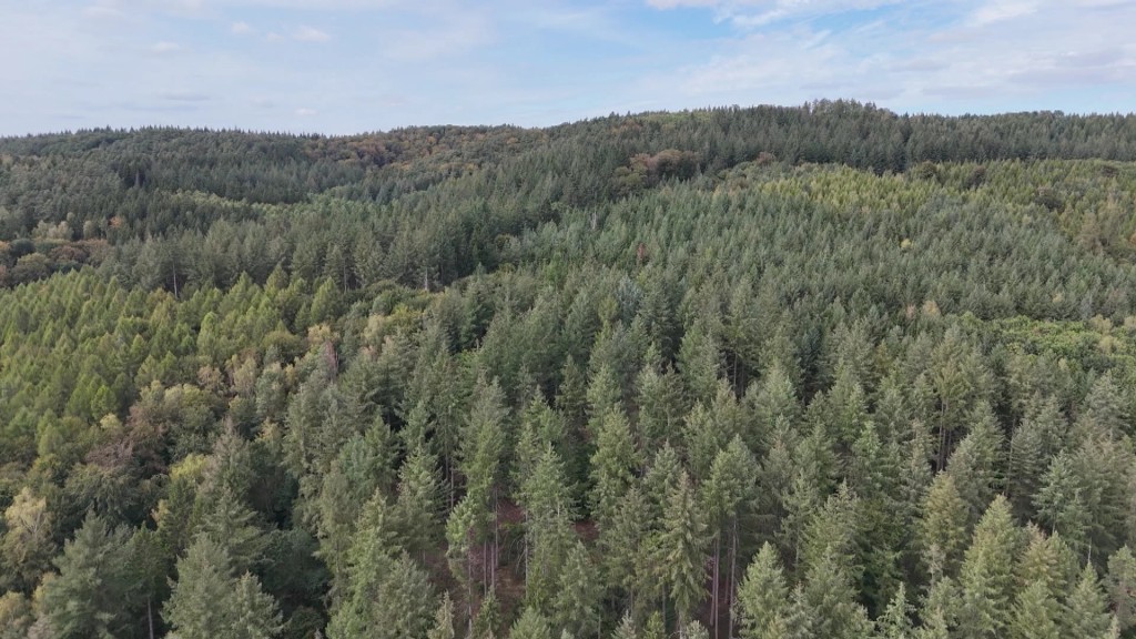 Foto: Stadtwald-Gebirge von oben