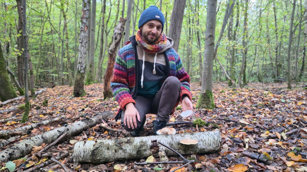 Pilzsucher im Wald