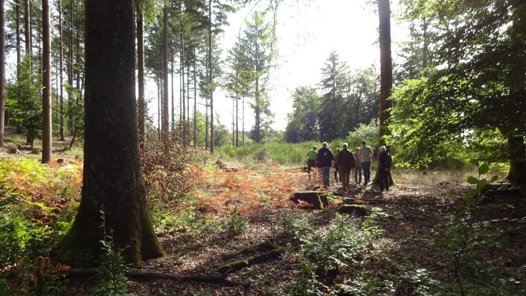 Exkursion im Wald