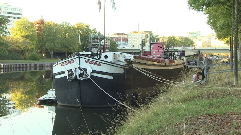 Bild zum Beitrag