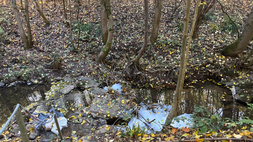 Löschschaum auf der Dörschbach
