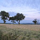 Landschaft bei Tettingen-Butzdorf (Foto: Germeinde Perl)