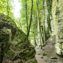 Teufelsschlucht (Foto: Dominik Ketz, Felsenland Südeifel Tourismus GmbH)