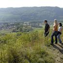 Auf dem Moselsteig (Foto: Winfried Götzinger)