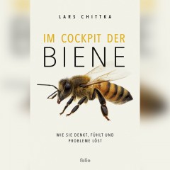 Buchtitel