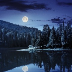 Mondschein über einem See