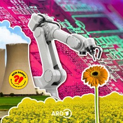 NEIN DANKE? Warum Atomkraft uns spaltet - Zukunft der Atomenergie