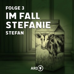 Im Fall Stefanie - Folge 3
