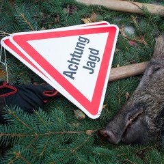  Sind Jagd und Tierschutz miteinander vereinbar?