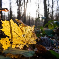 Herbstwetter