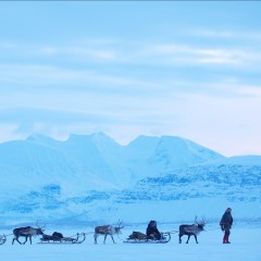 Umea 