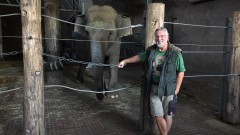 Zoodirektor Norbert Fritsch